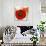 Summer Poppies III-Jenny Thomlinson-Art Print displayed on a wall