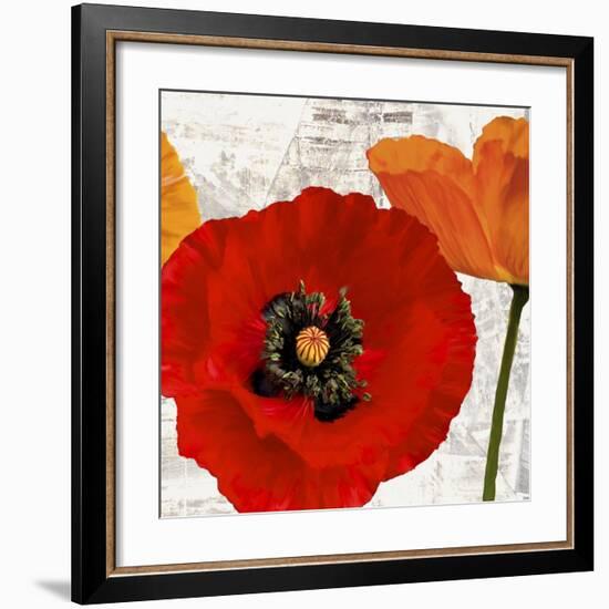 Summer Poppies III-Jenny Thomlinson-Framed Art Print