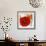 Summer Poppies III-Jenny Thomlinson-Framed Art Print displayed on a wall