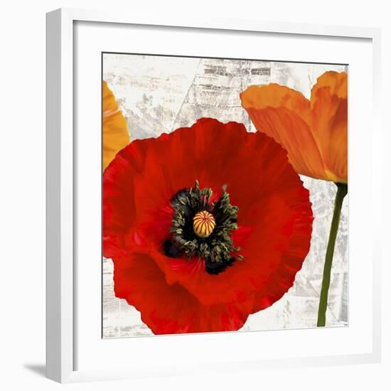 Summer Poppies III-Jenny Thomlinson-Framed Art Print