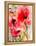 Summer Poppies-Karin Johannesson-Framed Stretched Canvas