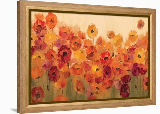 Summer Poppies-Silvia Vassileva-Framed Stretched Canvas