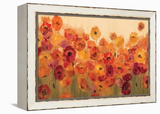 Summer Poppies-Silvia Vassileva-Framed Stretched Canvas