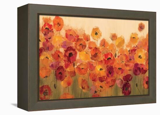 Summer Poppies-Silvia Vassileva-Framed Stretched Canvas