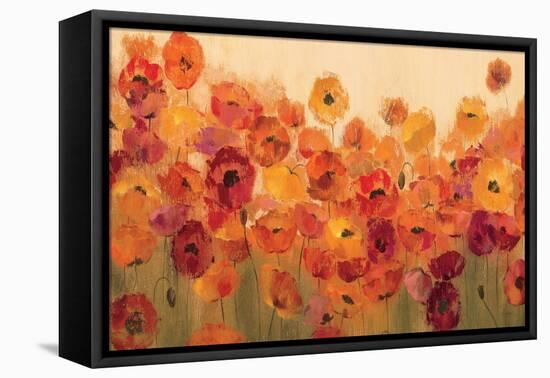 Summer Poppies-Silvia Vassileva-Framed Stretched Canvas