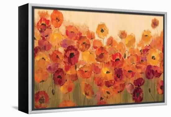 Summer Poppies-Silvia Vassileva-Framed Stretched Canvas