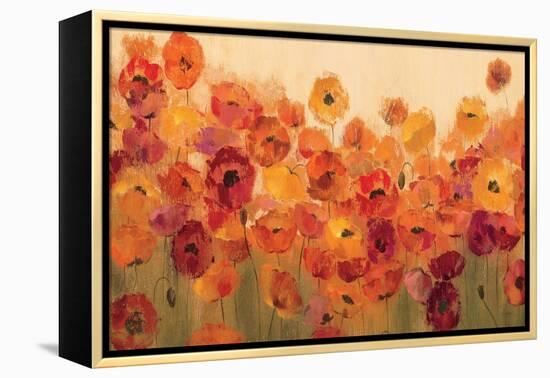 Summer Poppies-Silvia Vassileva-Framed Stretched Canvas