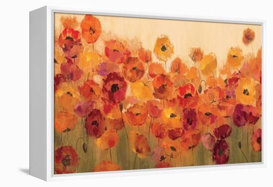 Summer Poppies-Silvia Vassileva-Framed Stretched Canvas