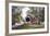 Summer Portal-Ray Hendershot-Framed Giclee Print