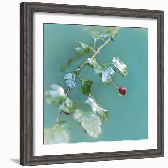 Summer Rain-Viviane Fedieu Daniel-Framed Photographic Print