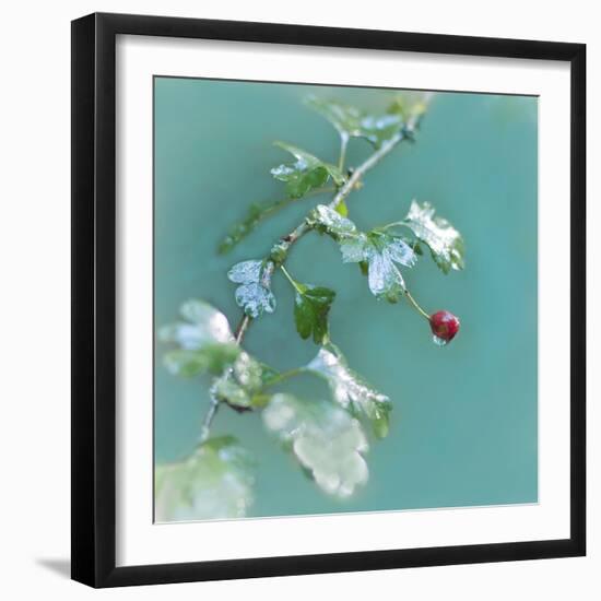 Summer Rain-Viviane Fedieu Daniel-Framed Photographic Print