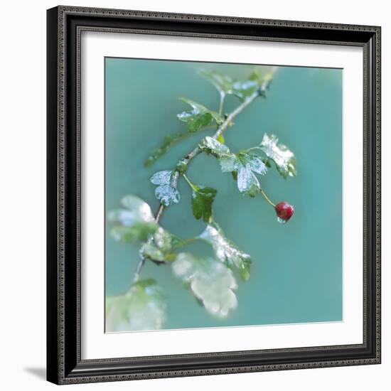 Summer Rain-Viviane Fedieu Daniel-Framed Photographic Print