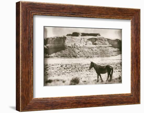 Summer Range-Nathan Larson-Framed Photographic Print