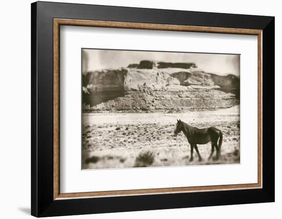 Summer Range-Nathan Larson-Framed Photographic Print