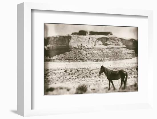 Summer Range-Nathan Larson-Framed Photographic Print