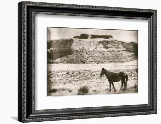 Summer Range-Nathan Larson-Framed Photographic Print