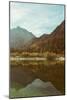 Summer Reflection-David Baker-Mounted Photographic Print