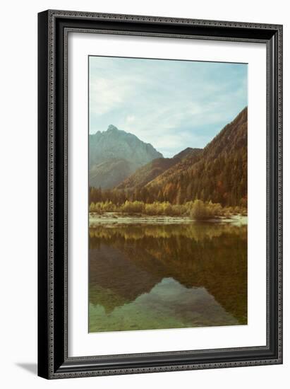 Summer Reflection-David Baker-Framed Photographic Print