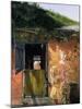 Summer Reflection-Timothy Easton-Mounted Giclee Print