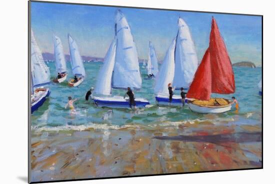 Summer Regatta, Abersoch, 2016-Andrew Macara-Mounted Giclee Print