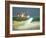 Summer Rentals-Lowell Herrero-Framed Art Print