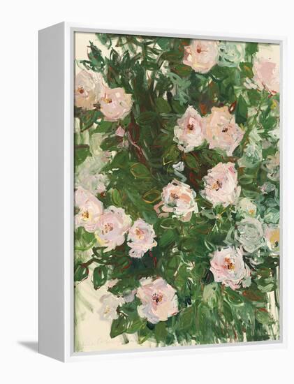 Summer Roses-Lilia Orlova Holmes-Framed Stretched Canvas
