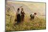 Summer's Day in Norway; Ein Sommertag in Norwegen-Hans Dahl-Mounted Giclee Print