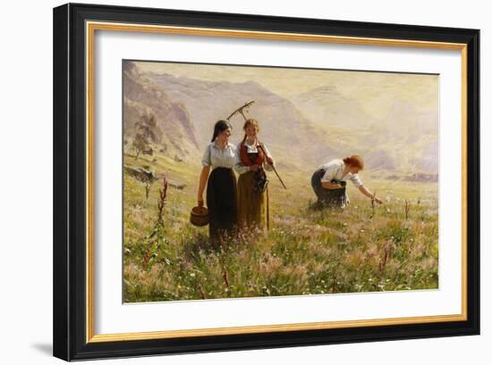 Summer's Day in Norway-Hans Dahl-Framed Giclee Print