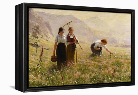 Summer's Day in Norway-Hans Dahl-Framed Premier Image Canvas