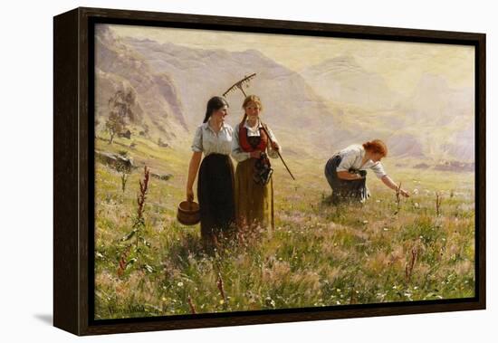 Summer's Day in Norway-Hans Dahl-Framed Premier Image Canvas