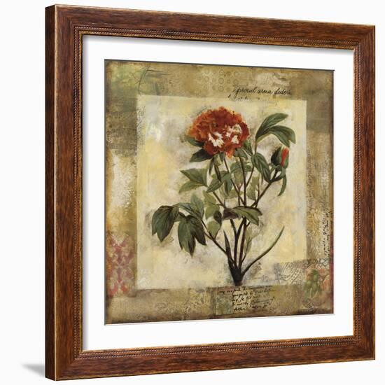 Summer's Inspiration II-Douglas-Framed Giclee Print