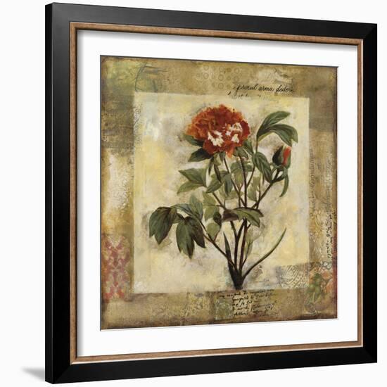 Summer's Inspiration II-Douglas-Framed Giclee Print