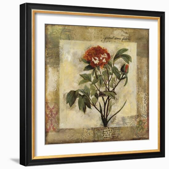 Summer's Inspiration II-Douglas-Framed Giclee Print