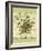 Summer Savory-Kate Ward Thacker-Framed Giclee Print