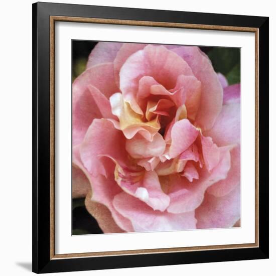 Summer Scent-Pete Kelly-Framed Giclee Print