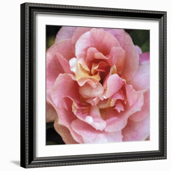 Summer Scent-Pete Kelly-Framed Giclee Print