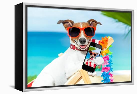 Summer Selfie Dog-Javier Brosch-Framed Premier Image Canvas