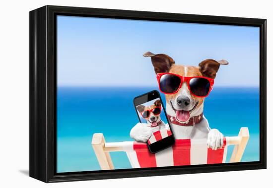 Summer Selfie Dog-Javier Brosch-Framed Premier Image Canvas