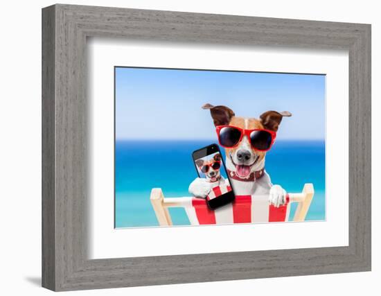 Summer Selfie Dog-Javier Brosch-Framed Photographic Print