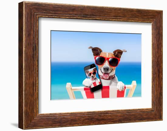 Summer Selfie Dog-Javier Brosch-Framed Photographic Print