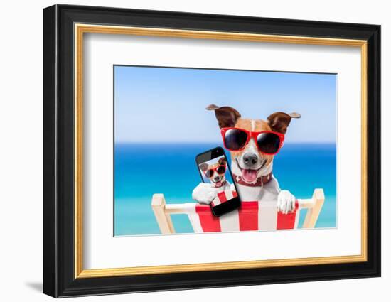 Summer Selfie Dog-Javier Brosch-Framed Photographic Print