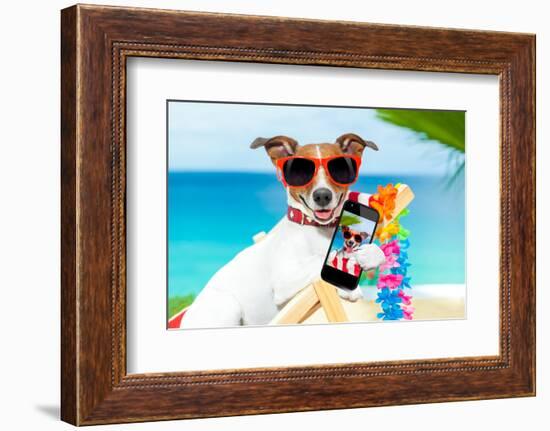 Summer Selfie Dog-Javier Brosch-Framed Photographic Print