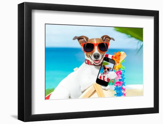 Summer Selfie Dog-Javier Brosch-Framed Photographic Print