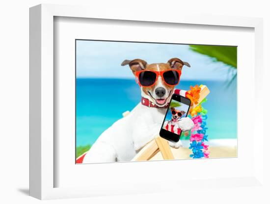 Summer Selfie Dog-Javier Brosch-Framed Photographic Print