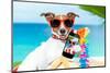 Summer Selfie Dog-Javier Brosch-Mounted Photographic Print