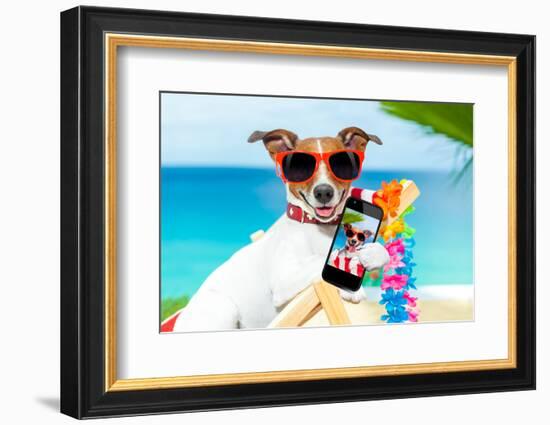 Summer Selfie Dog-Javier Brosch-Framed Photographic Print