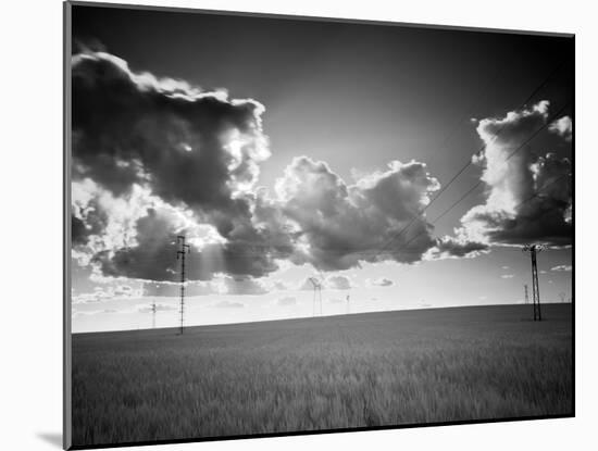 Summer Shade-Felipe Rodriguez-Mounted Photographic Print