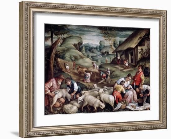 Summer. Sheep Shearing, C1570-C1580-Francesco Bassano-Framed Giclee Print