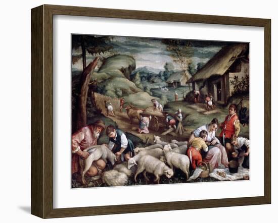 Summer. Sheep Shearing, C1570-C1580-Francesco Bassano-Framed Giclee Print