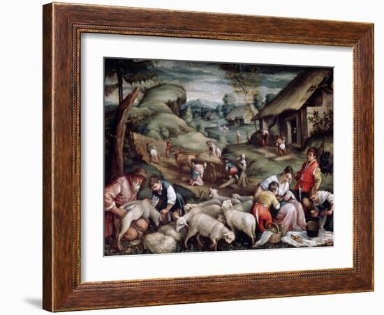 Summer. Sheep Shearing, C1570-C1580-Francesco Bassano-Framed Giclee Print